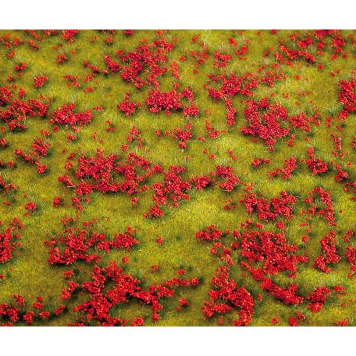 PREMIUM LANDSCHAPS-SEGMENT BLOEMENWEIDE ROOD** 180460