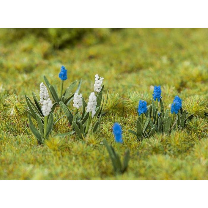 1/87 DRUIFHYACINTEN 32 STUKS 181265