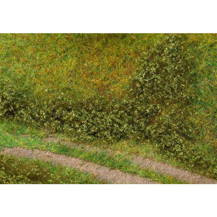 BLADFOLIAGE ZOMERGROEN 181618