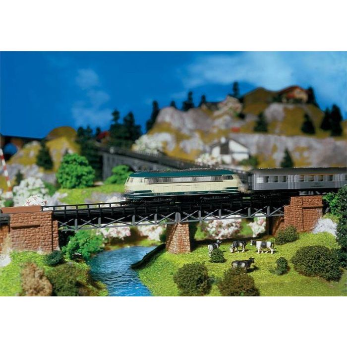 1/160 BRUGGENHOOFD 222550