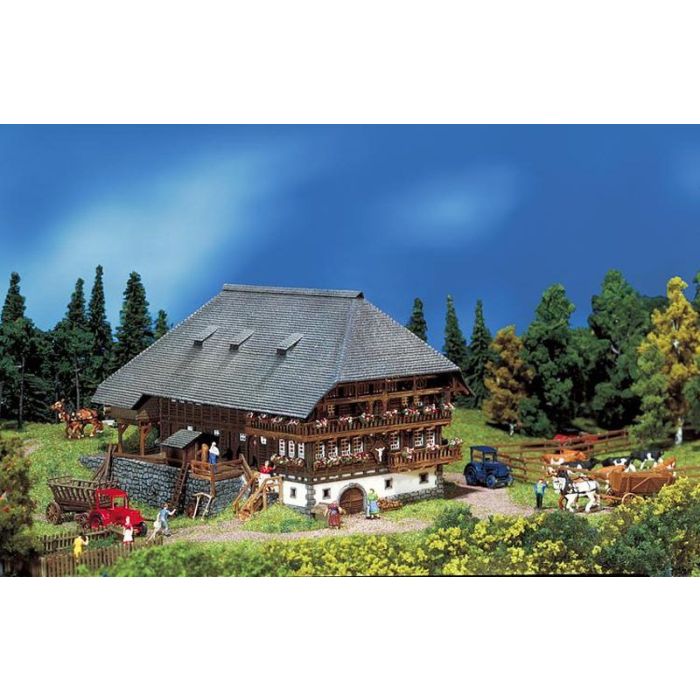 1/160 ZWARTE WOUD BOERDERIJ 232258