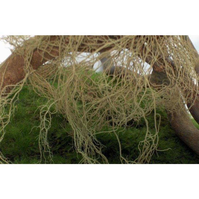 1/35 FINE JUNGLE BUSH/ CREEPER 18-120MM 52 GR. 118