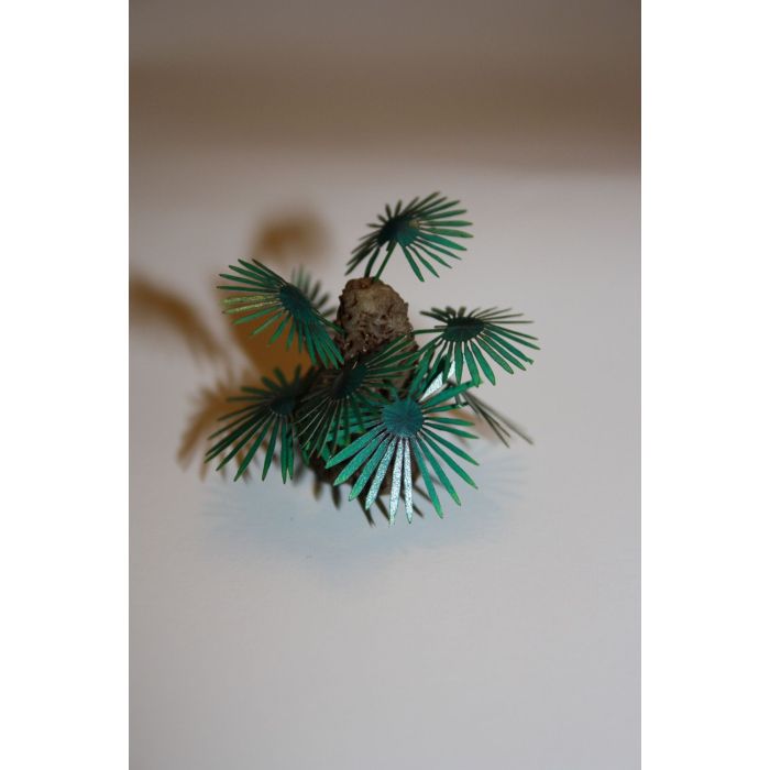 1/48 EUROPE/AFRICA PALMIER TREES SET C 28-38MM 2PCS. 68 GR. 184.48