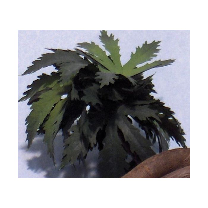 1/35 NAM BUSH 1 24-120MM 7 GR. 201
