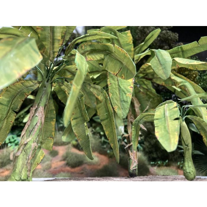1/35 BANANA LEAF 265