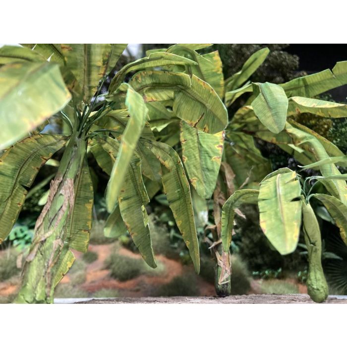 1/48 BANANA LEAF (2/24) * 266