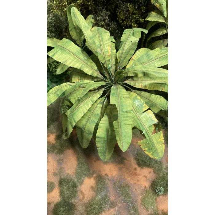 1/32 BANANA LEAF B 270