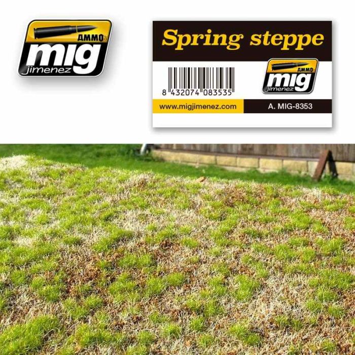 SPRING STEPPE VEGETATION A.MIG-8353