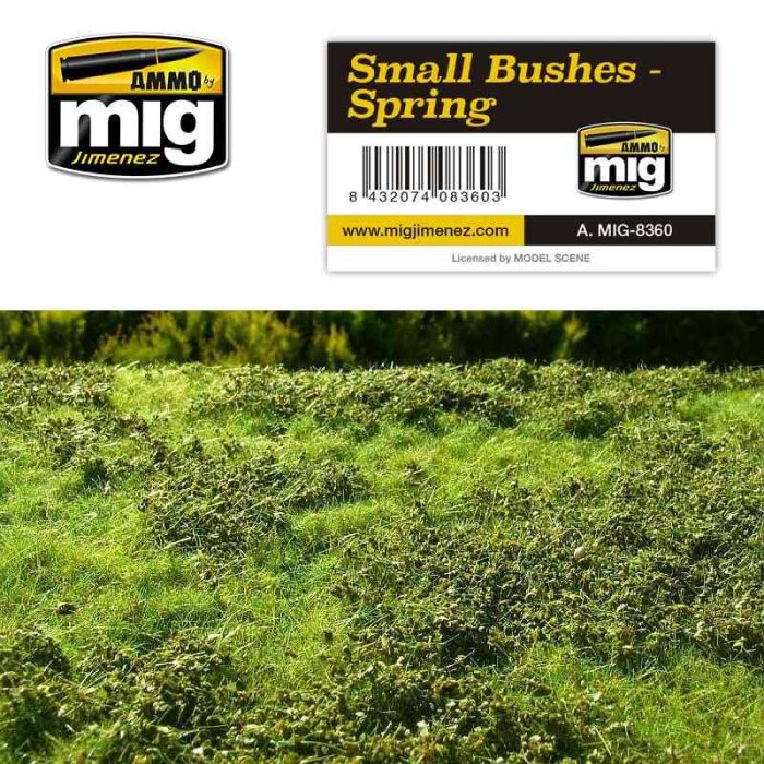 SMAL BUSHES - SPRING VEGETATION A.MIG-8360