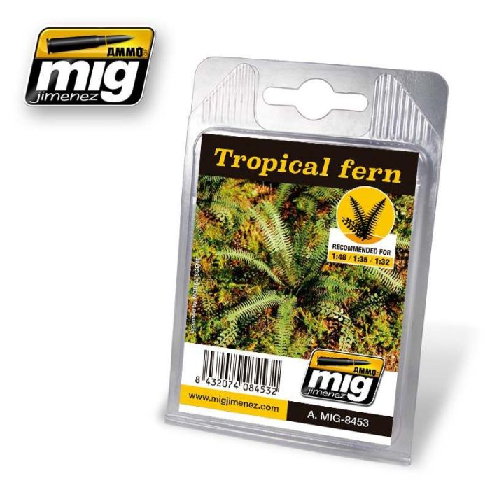 VEGETATION TROPICAL FERN A.MIG-8453